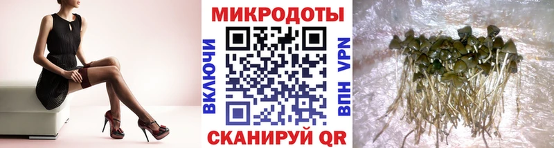 Галлюциногенные грибы Magic Shrooms Каменск-Уральский