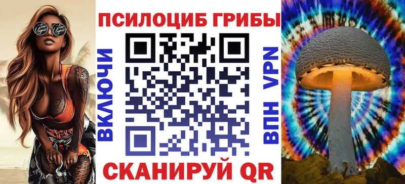 Псилоцибиновые грибы Cubensis  Купить  Каменск-Уральский 